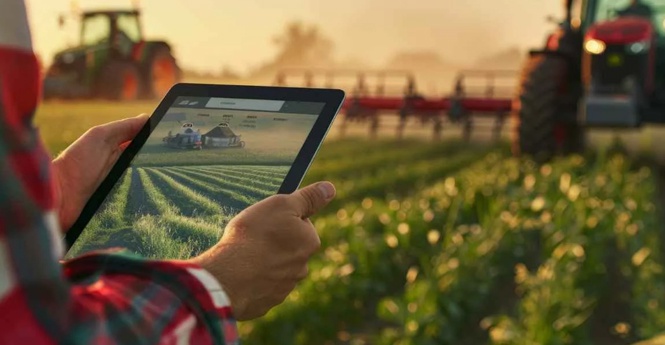 Sensores de agricultura inteligente