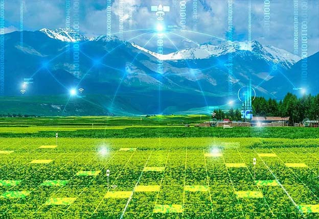 ZONEWU lanza LoRaWAN para agricultura inteligente